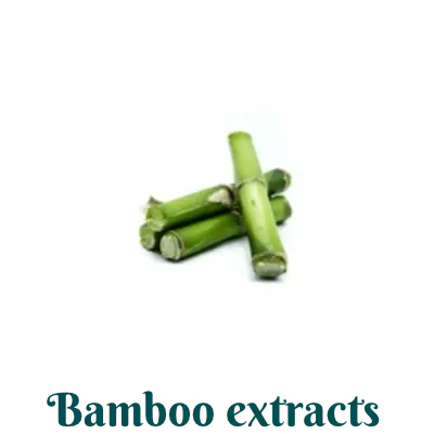 Bamboo