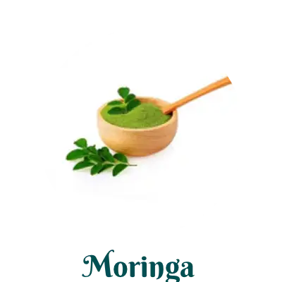 Moringa