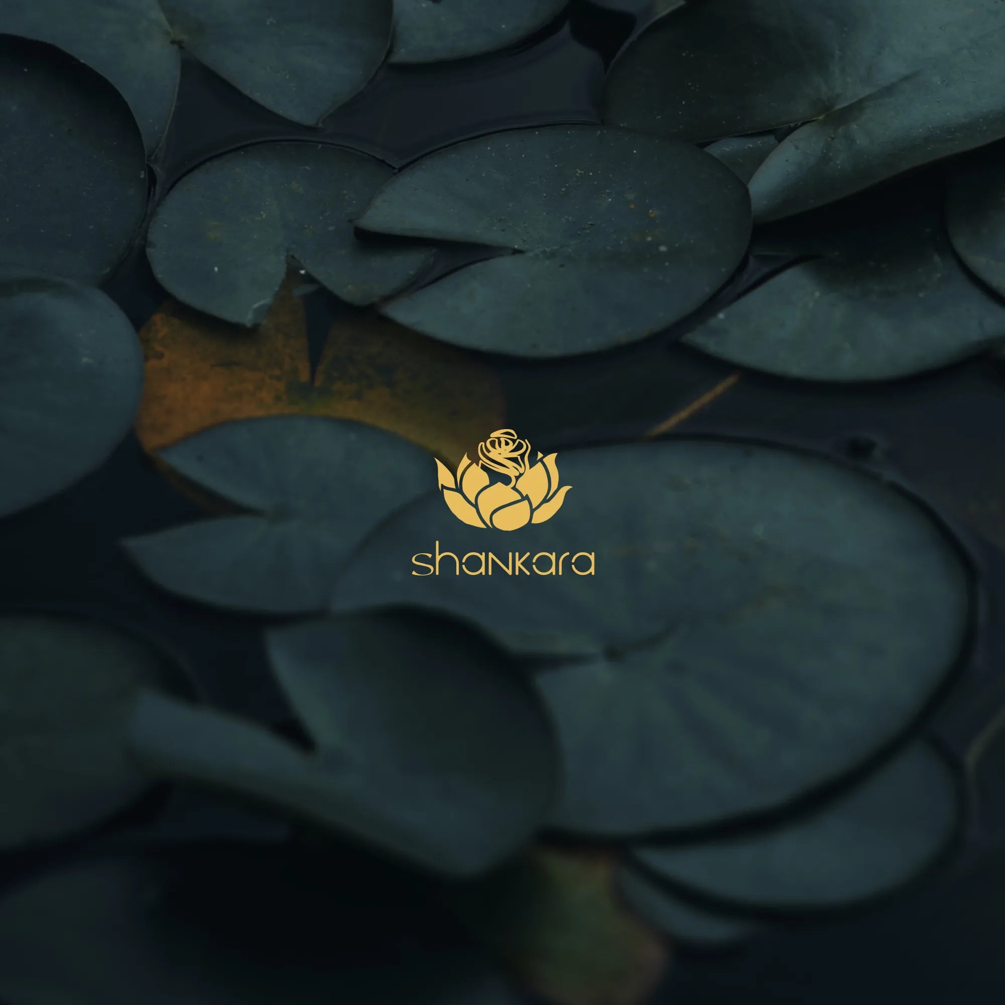 Shankara Naturals Logo