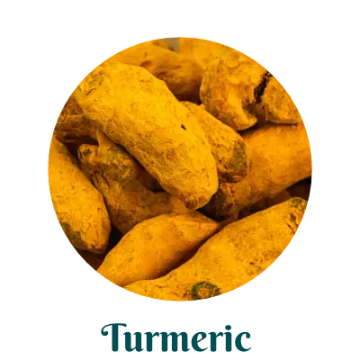 Turmeric best herb for skincare