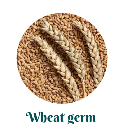 Wheat germ for skinacare