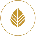 Icon for inspiration