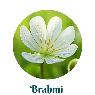 Brahmi