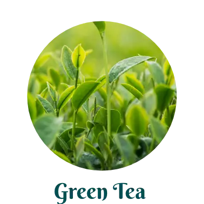 Green Tea