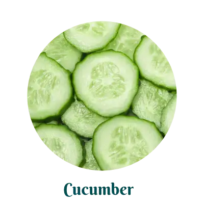 cucumber herb for skincare